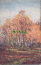 Load image into Gallery viewer, Hampshire Postcard - The New Forest, Birches on The Brockenhurst Road SW11547
