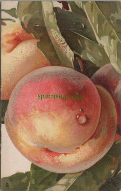 Nature Postcard - Fruit Art - Peaches, Artist Catharina Klein  SW11558