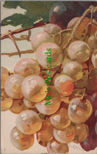 Load image into Gallery viewer, Nature Postcard - Fruit Art - Grapes, Artist Catharina Klein  SW11560
