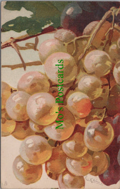 Nature Postcard - Fruit Art - Grapes, Artist Catharina Klein  SW11560