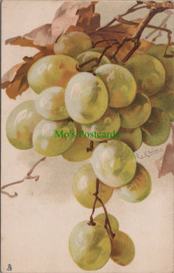 Nature Postcard - Fruit Art - Grapes, Artist Catharina Klein  SW11561