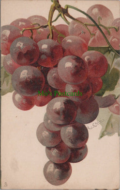 Nature Postcard - Fruit Art - Grapes, Artist Catharina Klein  SW11562