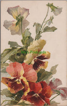 Load image into Gallery viewer, Nature Postcard - Flower Art - Pansies, Artist Catharina Klein  SW11563
