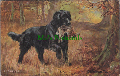 Animals Postcard - Dog Art, Sporting Dogs - The Retriever SW11564