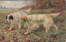 Load image into Gallery viewer, Animals Postcard - Dog Art, Sporting Dogs - Setters SW11565
