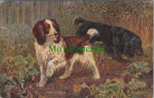 Load image into Gallery viewer, Animals Postcard - Dog Art, Sporting Dogs - Spaniels  SW11566
