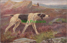 Load image into Gallery viewer, Animals Postcard - Dog Art, Sporting Dogs - The Pointer  SW11570
