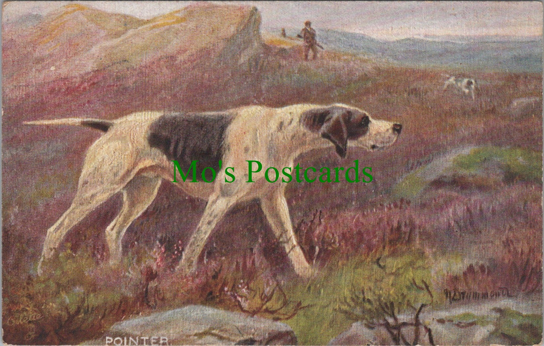 Animals Postcard - Dog Art, Sporting Dogs - The Pointer  SW11570