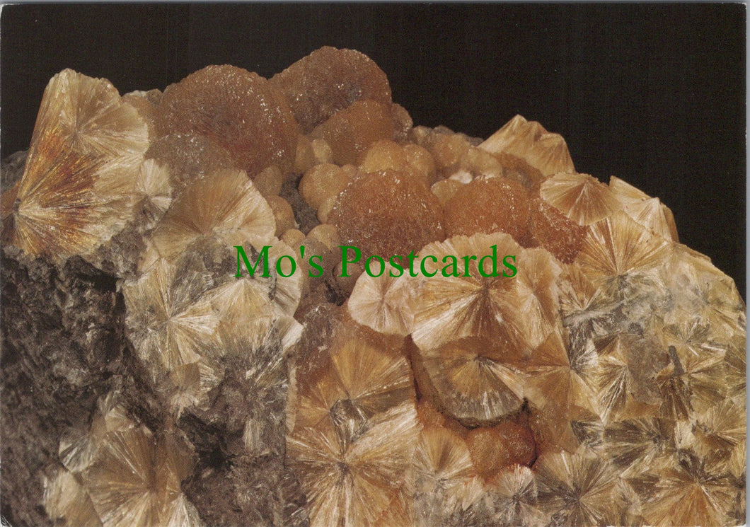 Geological Museum Postcard - Radiating Aggregates SW11972