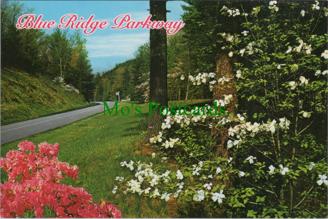 America Postcard - Blue Ridge Parkway  SW12258