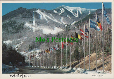 America Postcard - Whiteface Mt Ski Center, Wilmington, New York  SW12112