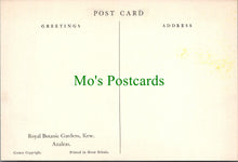 Load image into Gallery viewer, London Postcard - Royal Botanic Gardens, Kew SW12225
