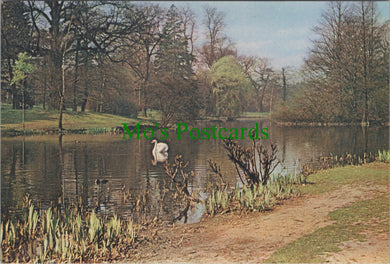 London Postcard - Royal Botanic Gardens, Kew SW12226