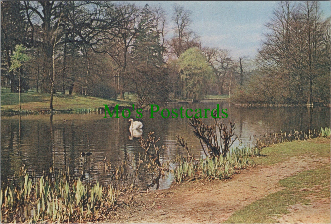 London Postcard - Royal Botanic Gardens, Kew SW12226