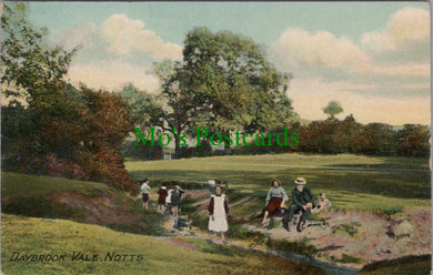 Nottinghamshire Postcard - Daybrook Vale  SW13361