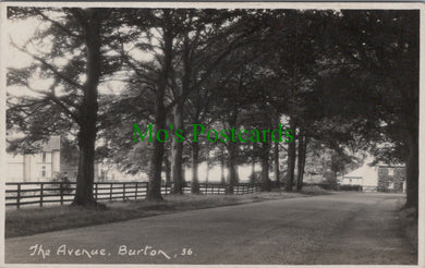 Nottinghamshire Postcard - The Avenue, Burton   SW13363