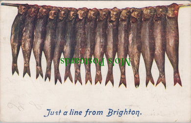 Sussex Postcard - Fish, Just a Line From Brighton  SW12627