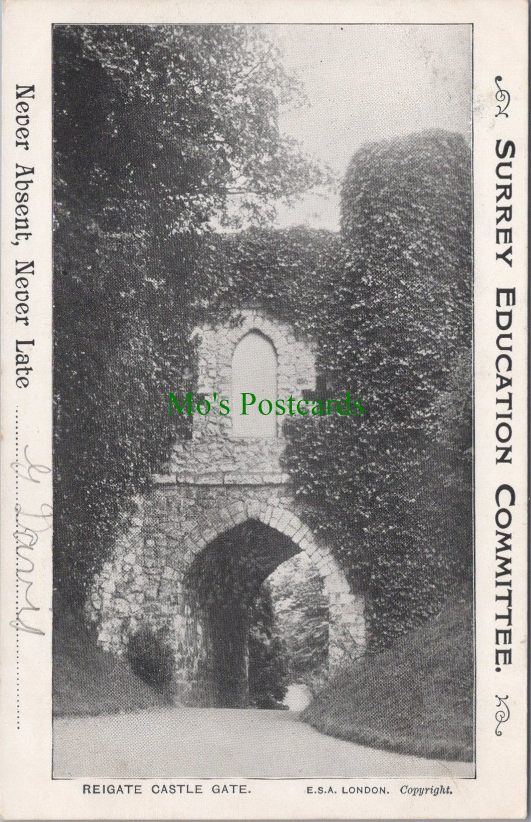 Surrey Postcard - Reigate Castle Gate  SW12640