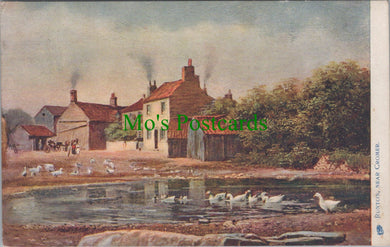 Norfolk Postcard - Runton, Near Cromer  SW12651