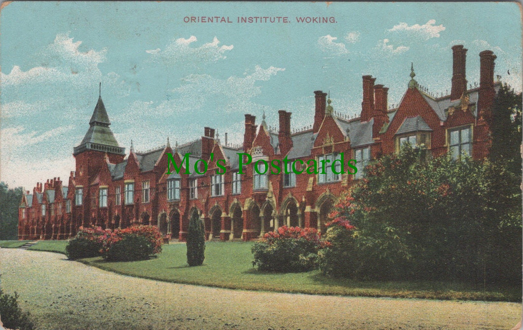 Surrey Postcard - Woking Oriental Institute  SW12652