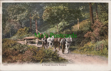 Occupations Postcard - Tree Felling, A Forest Giant's Funeral   SW12565