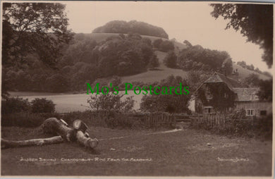 Sussex Postcard - Sussex Downs, Chanctonbury Ring SW13290