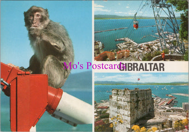 Gibraltar Postcard - Views of This British Overseas Territory SW16013