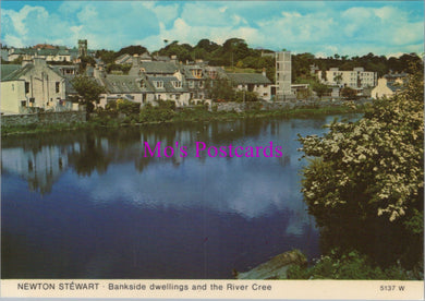 Scotland Postcard - Newton Stewart Bankside SW16019