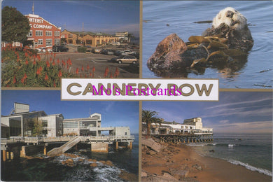 America Postcard - Cannery Row, California  SW16047