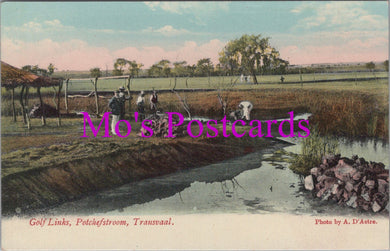 South Africa Postcard - Golf Links, Potchefstroom, Transvaal  SW14489