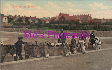 Sussex Postcard - Donkeys at Bognor   SW14491