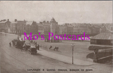 Northern Ireland Postcard - Bangor Esplanade and Queen's Parade SW14495