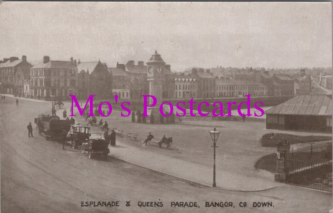 Northern Ireland Postcard - Bangor Esplanade and Queen's Parade SW14495