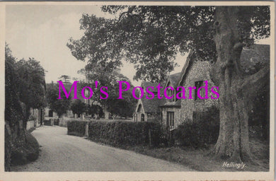 Sussex Postcard - Hellingly Village    SW14498