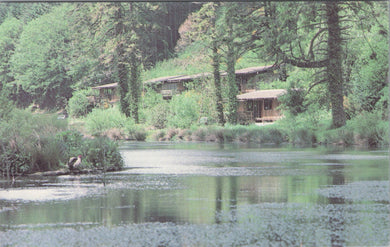 Cornwall Postcard - Deerpark Forest Cabins, Liskeard  SW16070