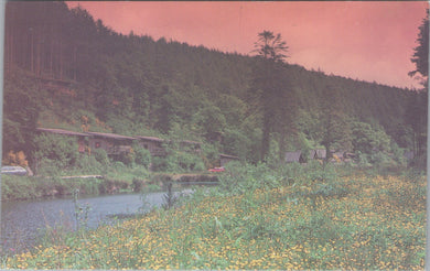 Cornwall Postcard - Deerpark Forest Cabins, Liskeard  SW16073