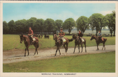 Sports Postcard - Horse Racing, Morning Training, Newmarket  SW16093