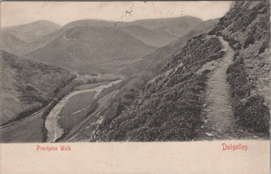 Wales Postcard - Dolgelley, Precipice Walk  SW16123