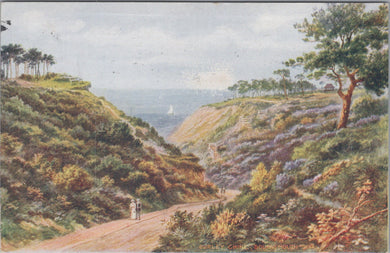 Dorset Postcard - Durley Chine, Bournemouth  SW16124