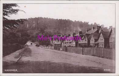 Surrey Postcard - Abinger Hammer Village SW15041