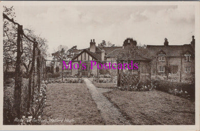 Hertfordshire Postcard - Rose Tea Gardens, Watford Heath  HM661