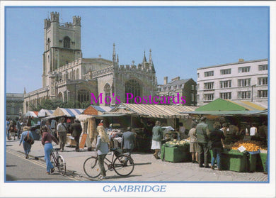 Cambridgeshire Postcard - Cambridge, Market Hill   SW16207