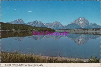 America Postcard - Wyoming, Grand Tetons Reflected in Jackson Lake  SW16287