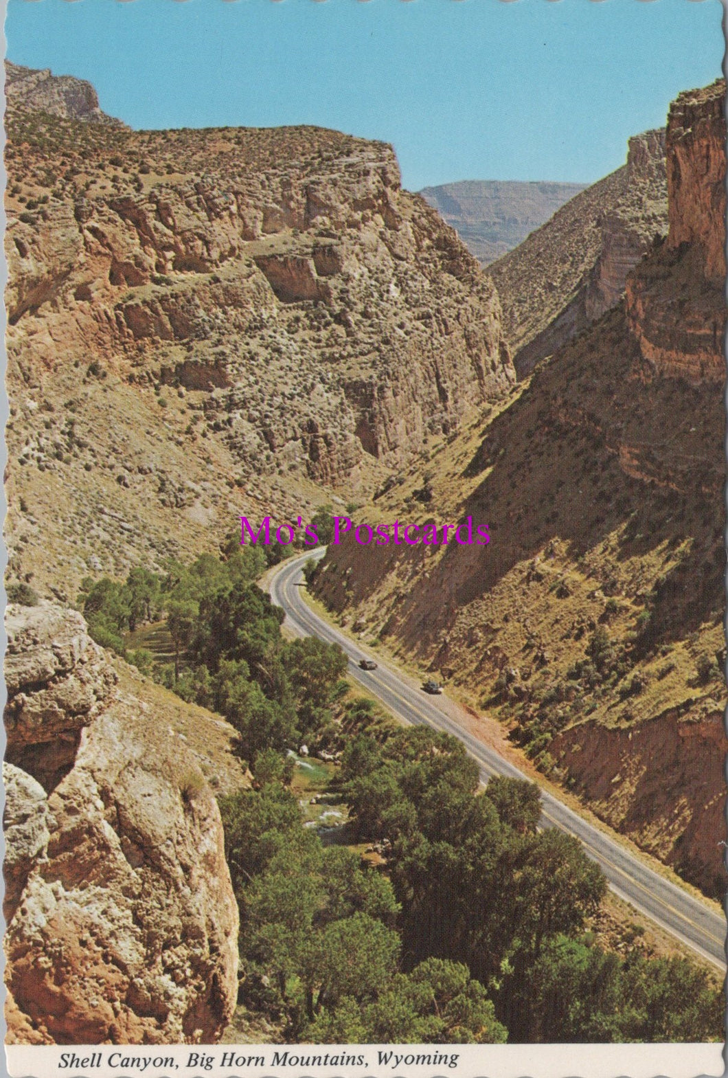 America Postcard - Shell Canyon, Big Horn Mountains, Wyoming SW16291