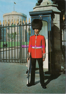 Military Postcard - A Scots Guards Sentry, Windsor Castle  SW15218