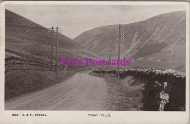 Vintage black and white photo of a mountainous landscape with a road and telephone poles, labeled 'Mo's Postcards'.