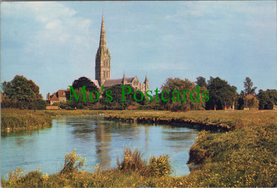 Wiltshire Postcard - Salisbury Cathedral and River Avon  SW13682