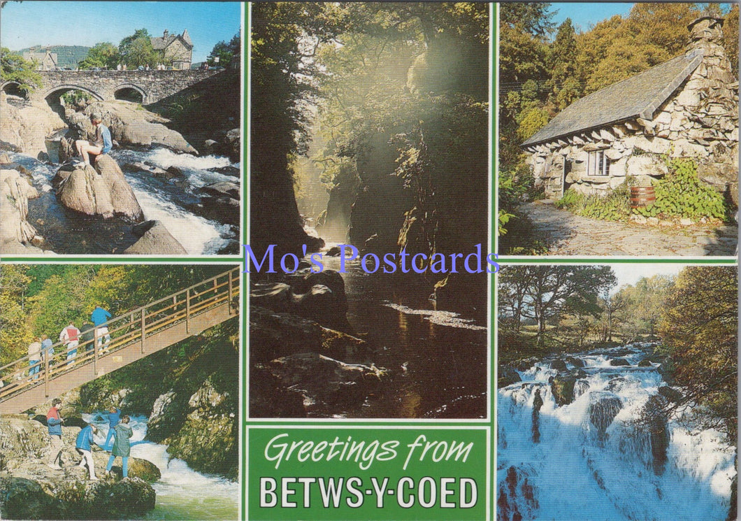 Wales Postcard - Greetings From Betws-Y-Coed    SW14066