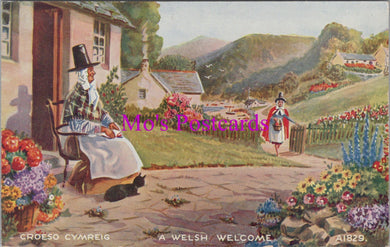 Fashion Postcard - A Welsh Welcome, Welsh National Costume   SW15633