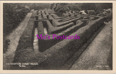 Middlesex Postcard - Hampton Court Palace, The Maze   SW15315